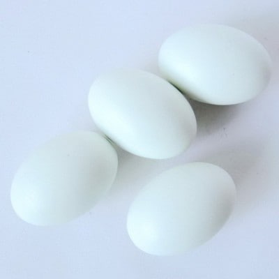 Super Wooden Egg (White)