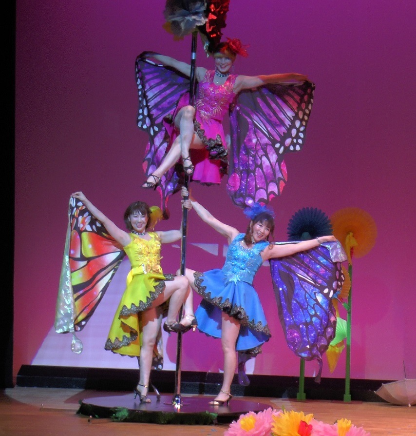 �裴�� ��Ķ���ޥ��å��ѥ������ DVD