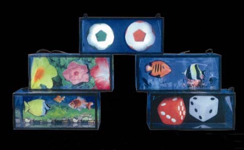 3-D Wonder Bag/����DVD�դ�