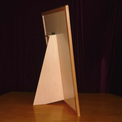 Magic Elixir Stage Size(Ķ�ѥ��롦���ơ�����)/����DVD�դ�