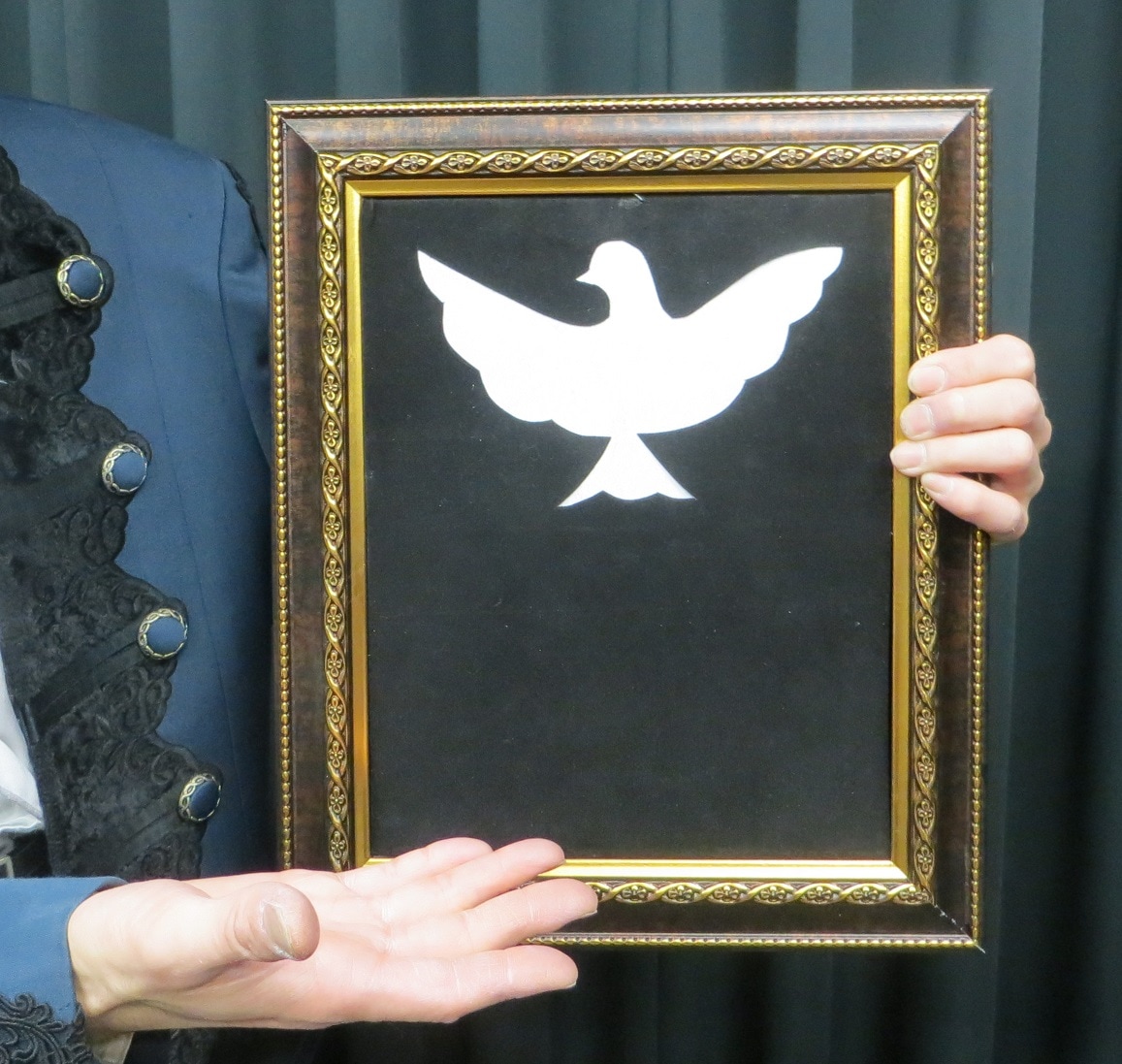 Color Change Dove Frame/���顼�����󥸡����֥ե졼��