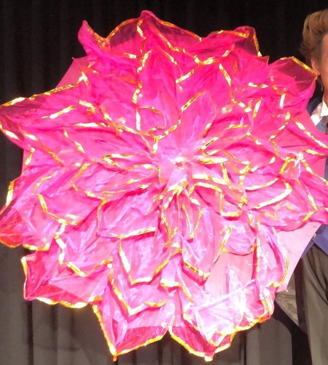 ����ǡ��ꥢ�롦�ե��ѥ饽��