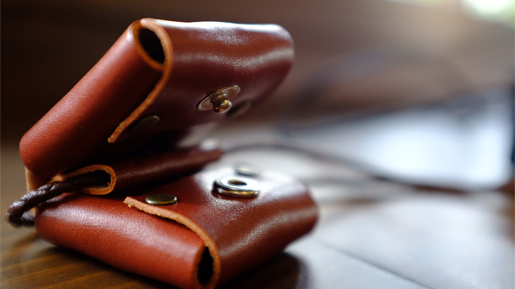 Siamese Case/�������ߡ���������