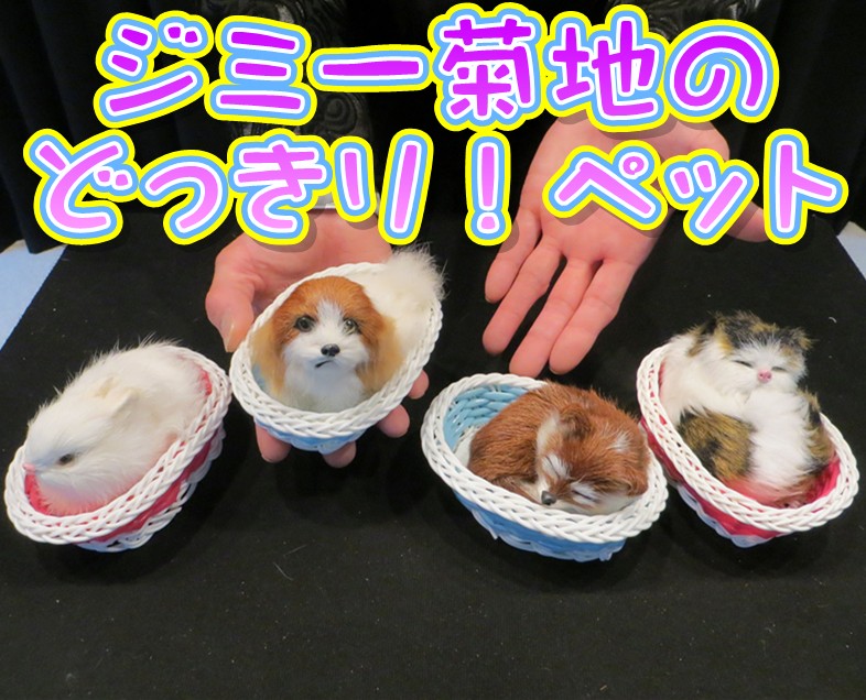 ���ߡ����ϤΤɤä��ꡪ�ڥå�