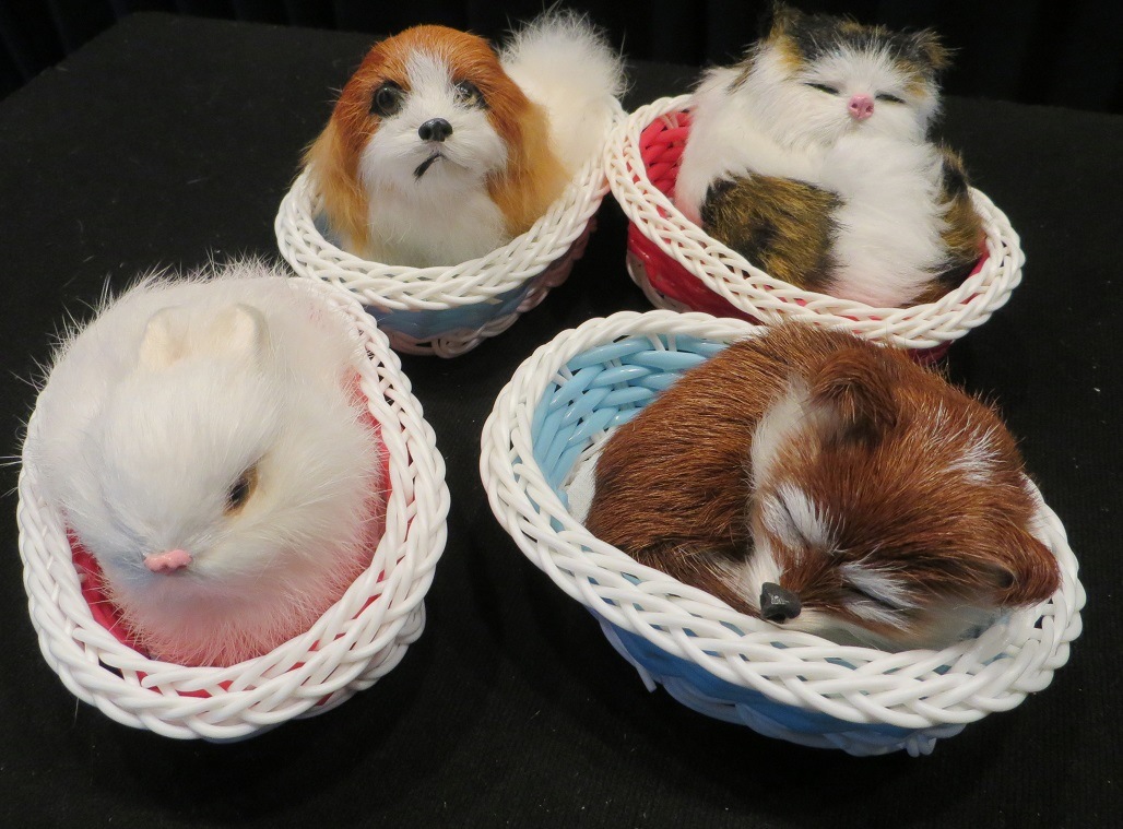 ���ߡ����ϤΤɤä��ꡪ�ڥå�