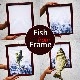 Fish from Frame/���и��ե졼��