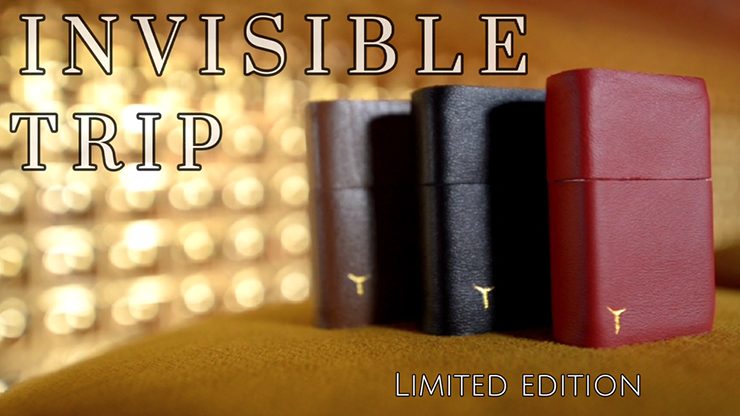 Invisible Trip/����ӥ��֥롦�ȥ�å�