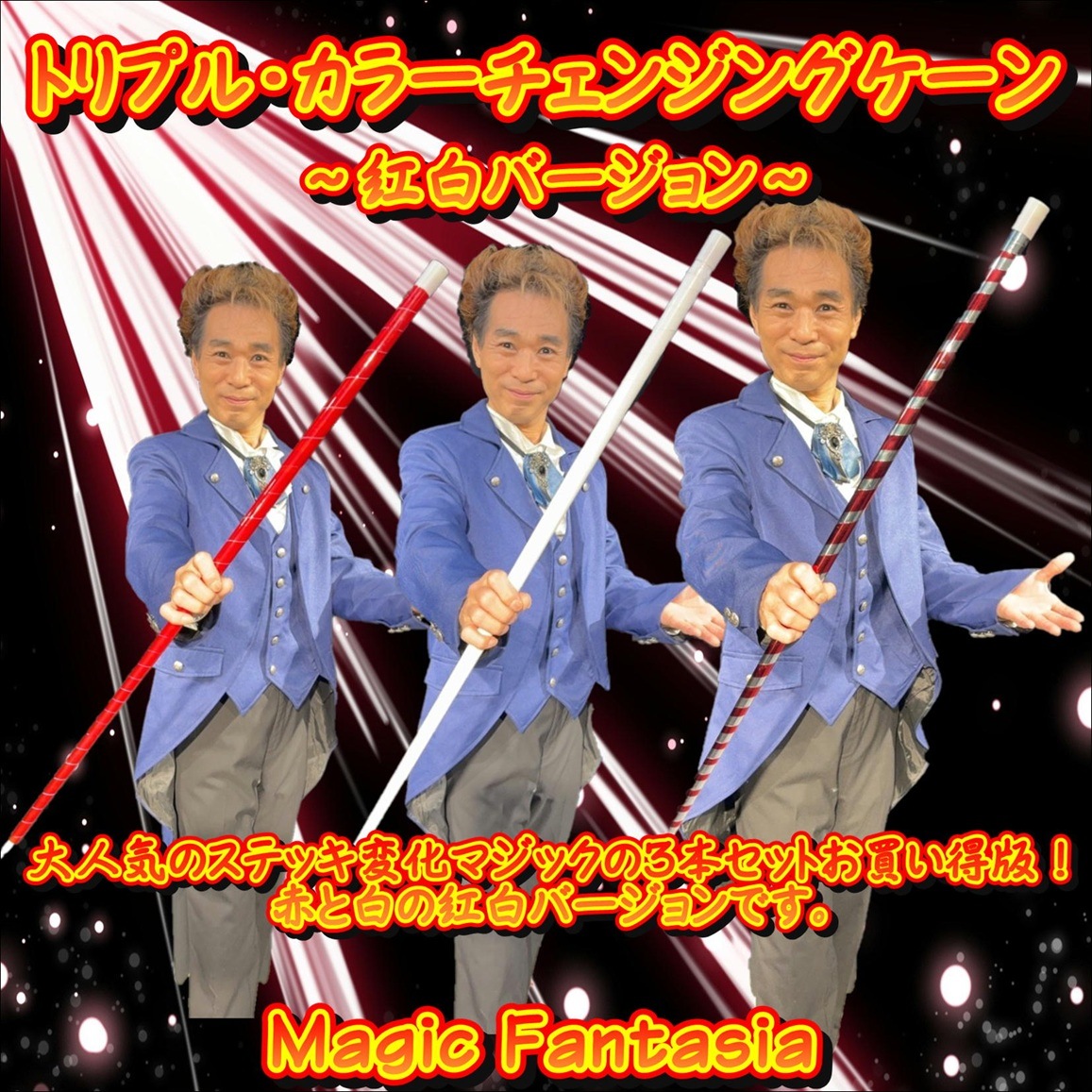 �ȥ�ץ롦���顼�����󥸥󥰥����������С�������