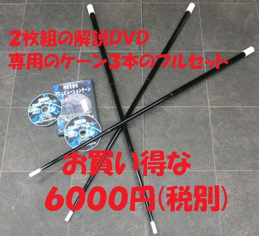 ���ݸ����Υޥ˥�ԥ졼����󥱡���
