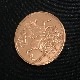 Queen Victoria Ancient Coin/�������󡦥ӥ��ȥꥢ��Ƽ��
