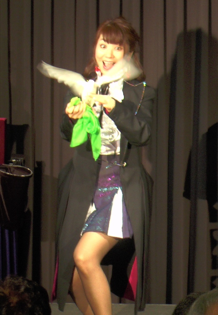 �ͣ��ǣɡݣУ��ң�(�ޥ��å��ѥ������)Vol.���� �ģ֣�/������DVD