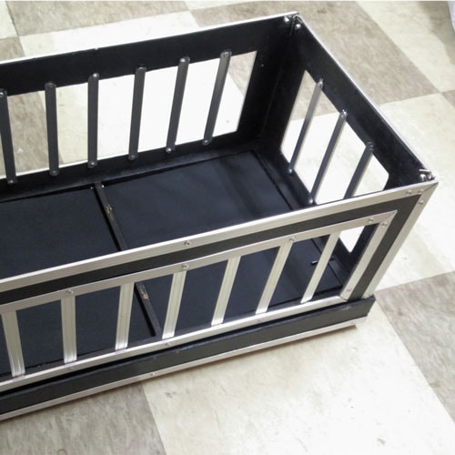 Catching Dove/����å��󥰡�����