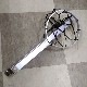 Catching Dove/����å��󥰡�����