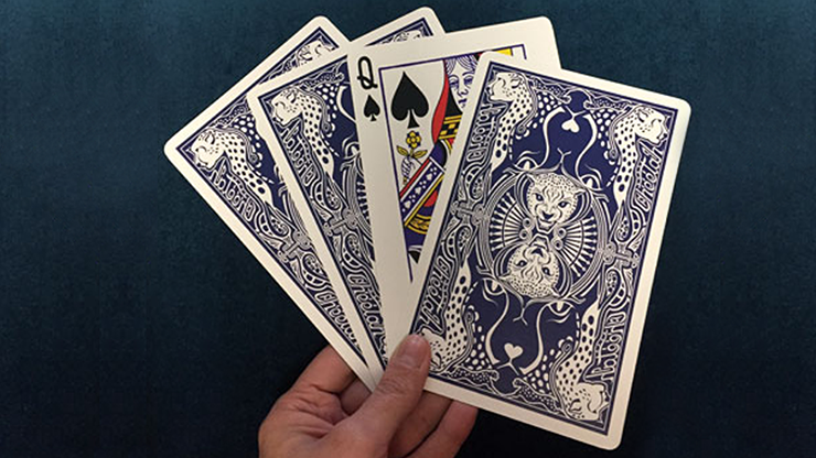 Max Maven's Jumbo B'Wave - Trick