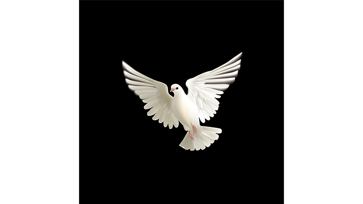 BLUFFF/�ӥ��奢���Ѳ���������(���ǥ�����)