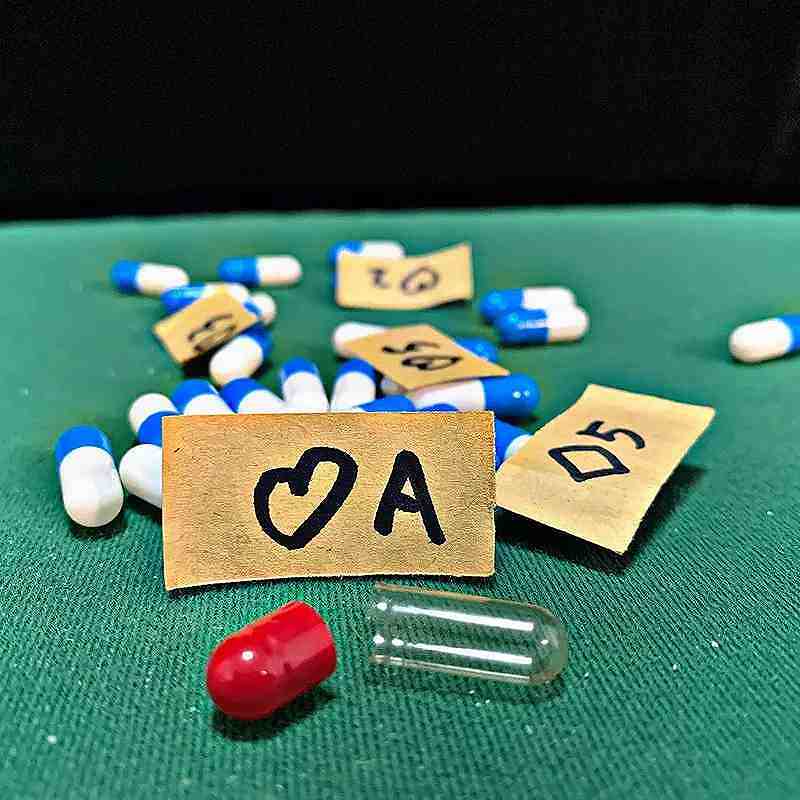 ���ץ���δ�����ͽ��