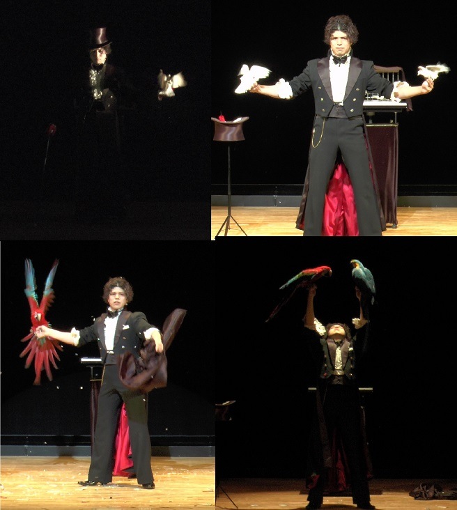 �裲�� ��Ķ���ޥ��å��ѥ������ DVD