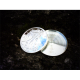 Expanded shell ; Silver Eagle Proof/����С��������륷���륳����