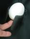 Egg Guard/���ޥ����ѥۥ����