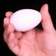 Electric Silk to Egg(�����å����ԡ���)