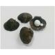 Shell game/�ꥢ�륷����(����)������
