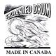 Enchanted Drum/����DVD�դ�