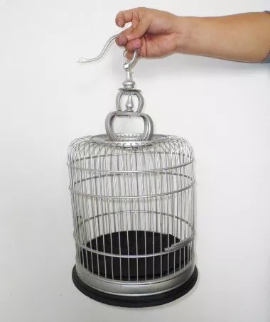 �ե����䡼���֥�����