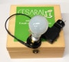 Cesaral Magic Bulb