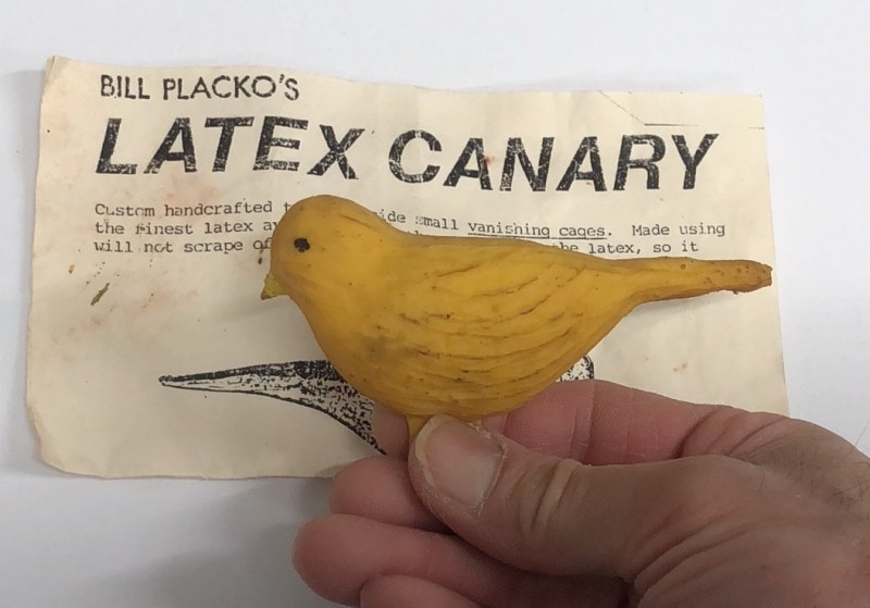 ��ƥå��������ʥꥢ