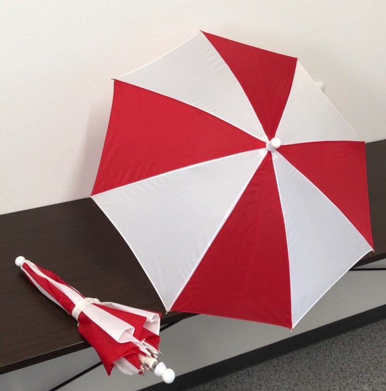 ���������ѥ饽�롦�쥮��顼������������