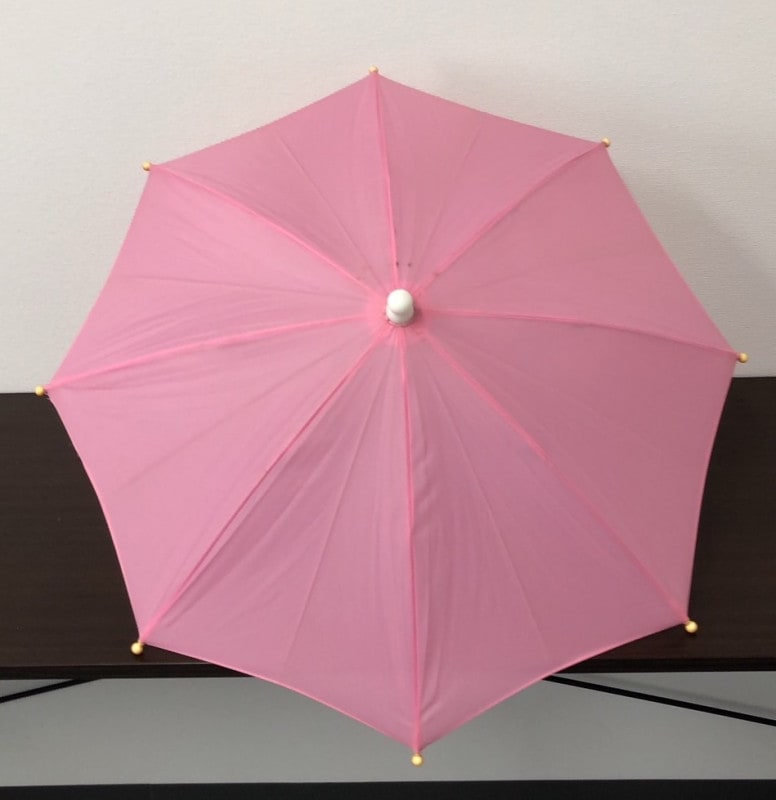 ���������ѥ饽�롦�쥮��顼���������ԥ�