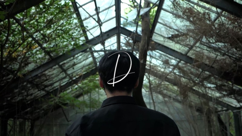 D by PH