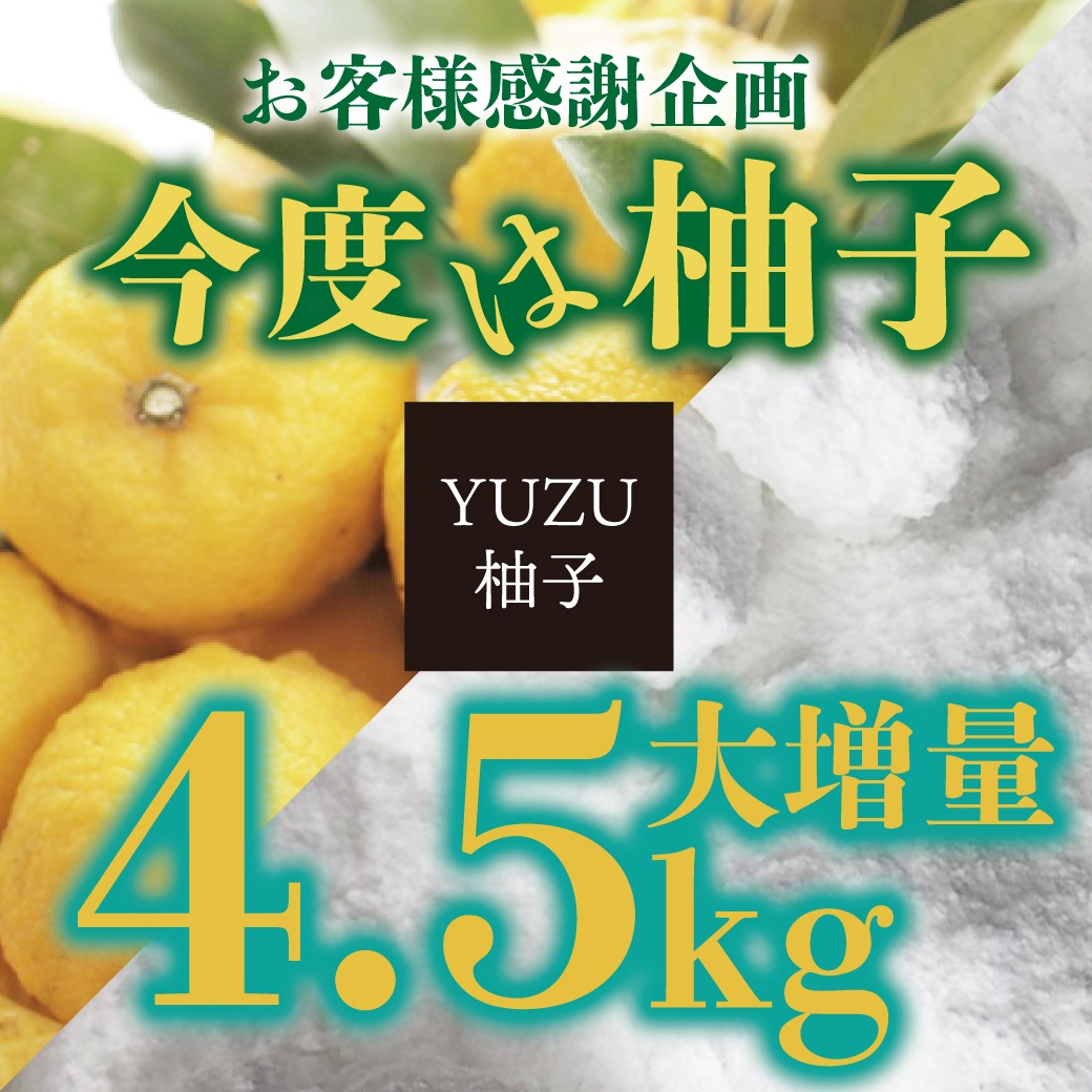 【送料無料】クラッシュバスボム3Kg
