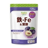 鉄・Fe＆葉酸　【メール便・全国送料無料】