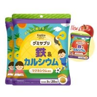 [セット] グミサプリ 鉄＆カルシウム　【全国送料無料】