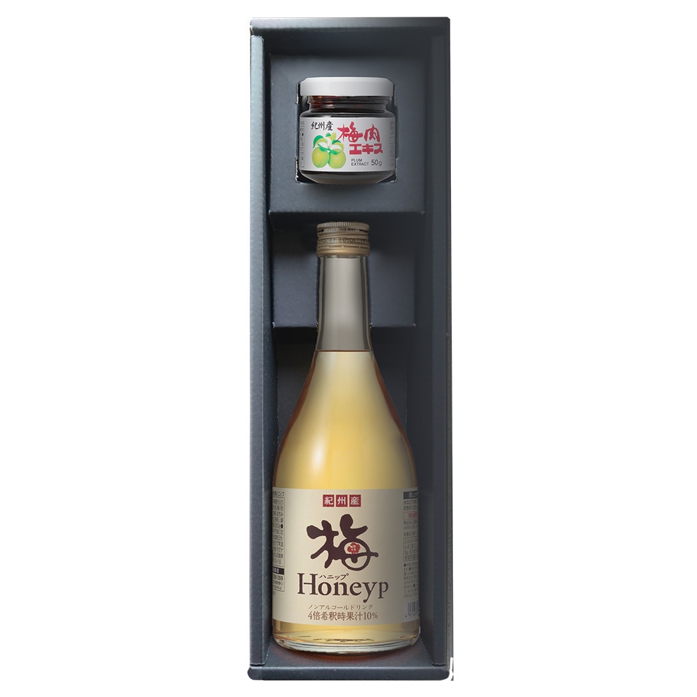 ＼秋のギフト 45%OFF！／紀州産梅肉エキス x 梅ハニップ 2点ギフトセット【宅配便】