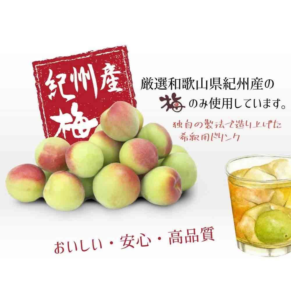 紀州産梅ハニップ 590g【宅配便・3本以上送料無料】 | 紀州産梅加工
