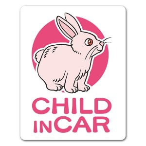  ưʪCHILD IN CARۼ֥ޥͥåȥƥåڤ椦ѥåǽ