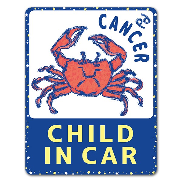 ¥꡼˺ CANCERCHILD IN CARۼ֥ޥͥåȥƥåڤ椦ѥåǽ