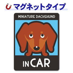 �ߥ˥��奢���å����ե�� ���ࡼ�� ���٤��ӿ���3���MINIATURE DACHSHUND IN CAR�ۼ֥ޥ��ͥåȥ��ƥå����ڤ椦�ѥ��å����������ǽ��