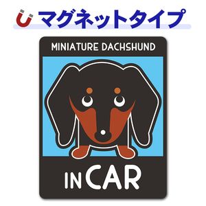 �ߥ˥��奢���å����ե�� ���ࡼ�� ���󥫥顼 ���٤��ӿ���3���MINIATURE DACHSHUND IN CAR�ۼ֥ޥ��ͥåȥ��ƥå����ڤ椦�ѥ��å����������ǽ��