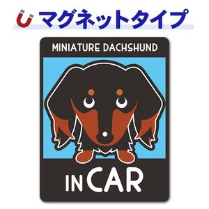 �ߥ˥��奢���å����ե�� ���� ���󥫥顼 ���٤��ӿ���3���MINIATURE DACHSHUND IN CAR�ۼ֥ޥ��ͥåȥ��ƥå����ڤ椦�ѥ��å����������ǽ��