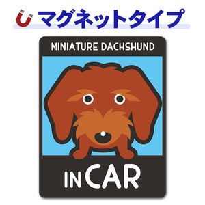 �ߥ˥��奢���å����ե�� �磻�䡼 ���٤��ӿ���3���MINIATURE DACHSHUND IN CAR�ۼ֥ޥ��ͥåȥ��ƥå����ڤ椦�ѥ��å����������ǽ��