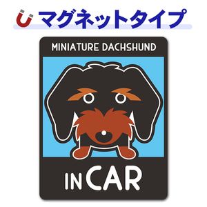 �ߥ˥��奢���å����ե�� �磻�䡼 ���󥫥顼 ���٤��ӿ���3���MINIATURE DACHSHUND IN CAR�ۼ֥ޥ��ͥåȥ��ƥå����ڤ椦�ѥ��å����������ǽ��