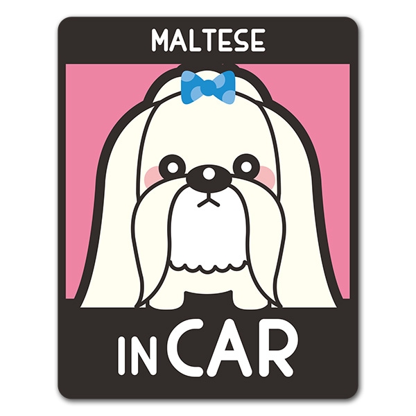 �ޥ������ �ե륳���� ���MALTESE IN CAR�ۼ֥ޥ��ͥåȥ��ƥå����ڤ椦�ѥ��å����������ǽ��