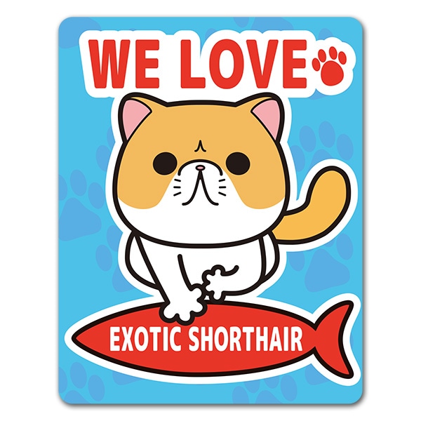 ���������å����硼�ȥإ���WE LOVE EXOTIC SHORTHAIR�ۼ֥ޥ��ͥåȥ��ƥå����ڤ椦�ѥ��å����������ǽ��
