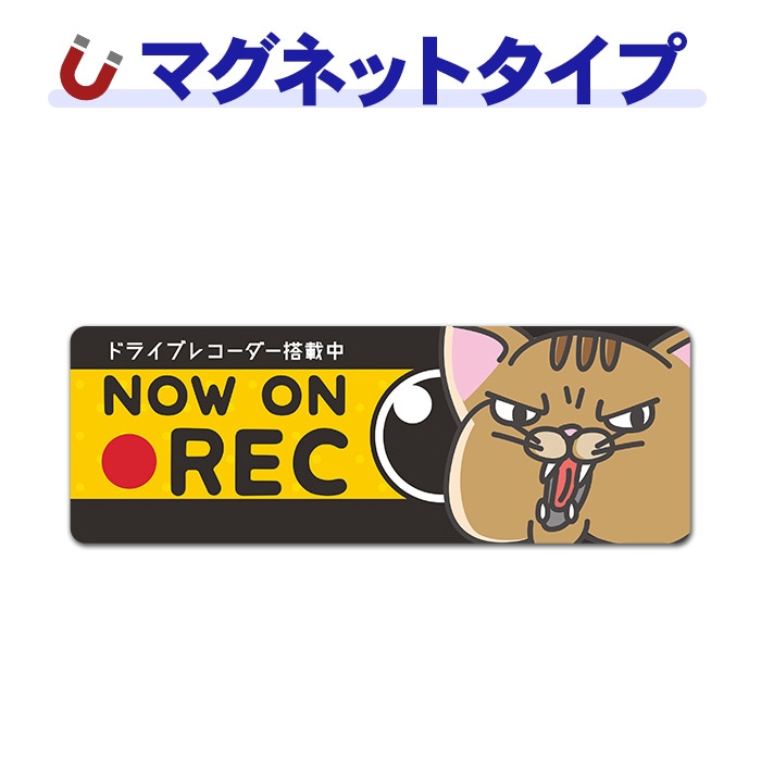 威嚇ネコ ドライブレコーダー搭載中【NOW ON REC】スリム型車