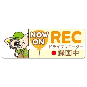  NOW ON RECۥɥ饤֥쥳Ͽ ෿֥ޥͥåȥƥåڤ椦ѥåǽ