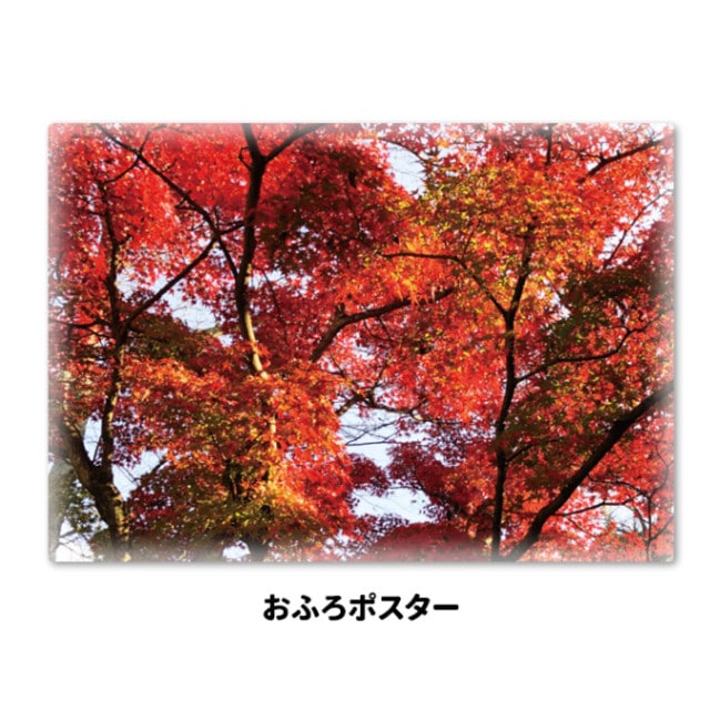 ����Ϥ�ݥ������ڹ��աۥޥ��ͥåȥ��������������ظ����