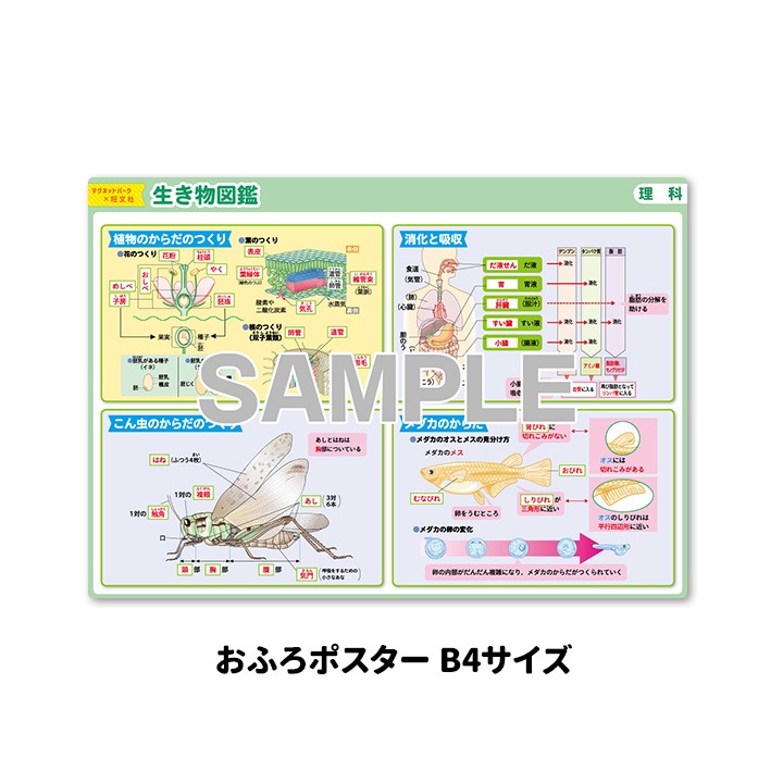 ��ؼ�������Ϥ�ݥ�����������ʪ�޴աۣͣС߲�ʸ�� �ޥ��ͥåȥ������� ���դ��ݥ�����B4������ �ΰ�ޥ��ͥåȡ������ظ����